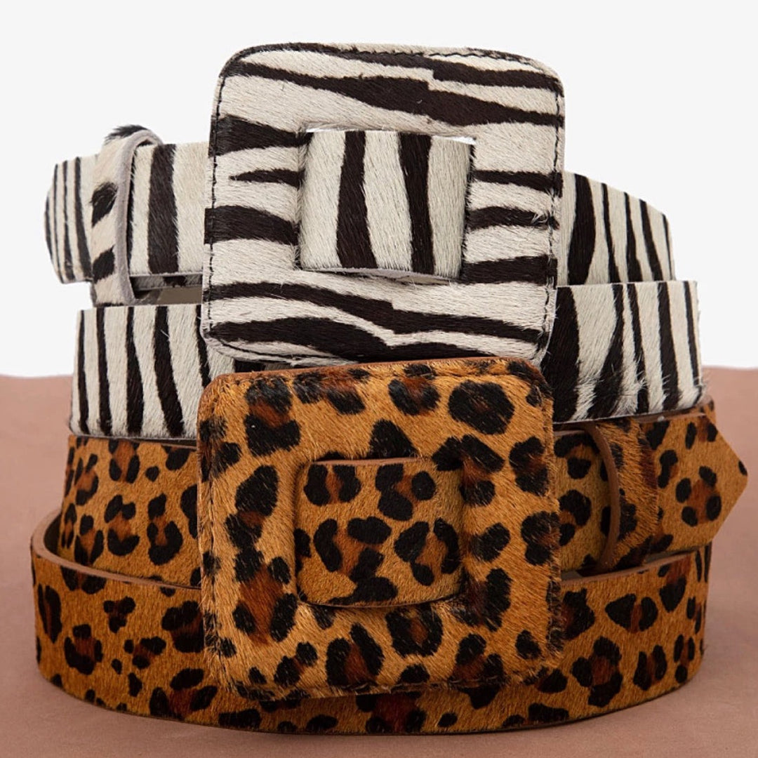 Animal print belt with covered buckle for bold everyday style